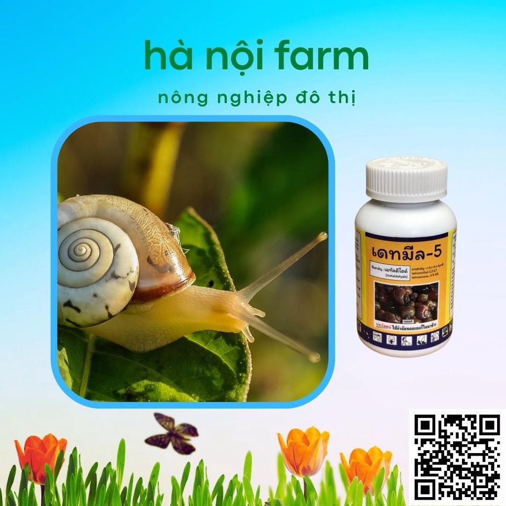 Thuốc trị ốc sên Thái Lan chai 100gr