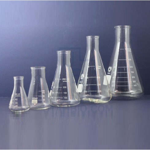 Bình tam giác thủy tinh/ erlen 250mL, 500L