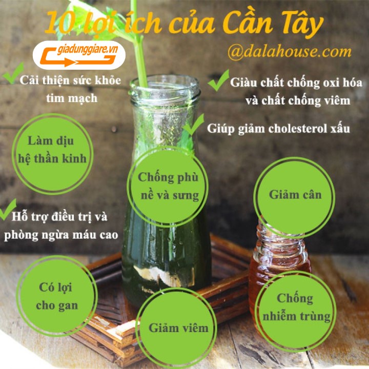 Lon Bột cần tây hữu cơ nguyên chất Dalahouse 150g