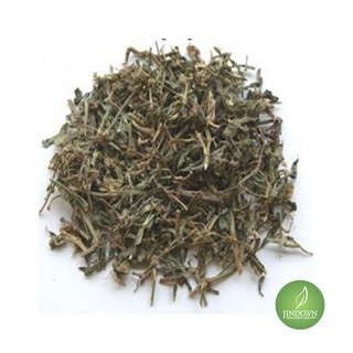 Cây biển súc khô (1kg) - olf279