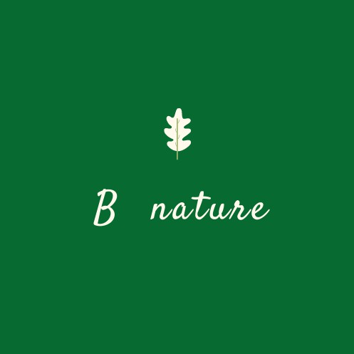 Thực phẩm thiên nhiên B NATURE