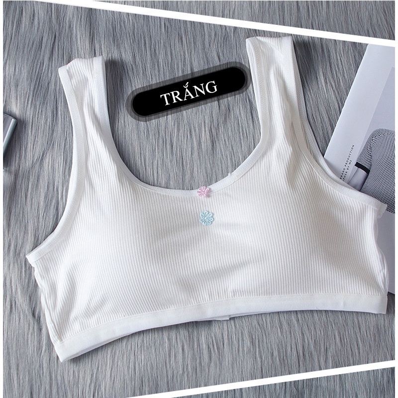 Áo bra học sinh 2 dây bản to có móc cài FLA29