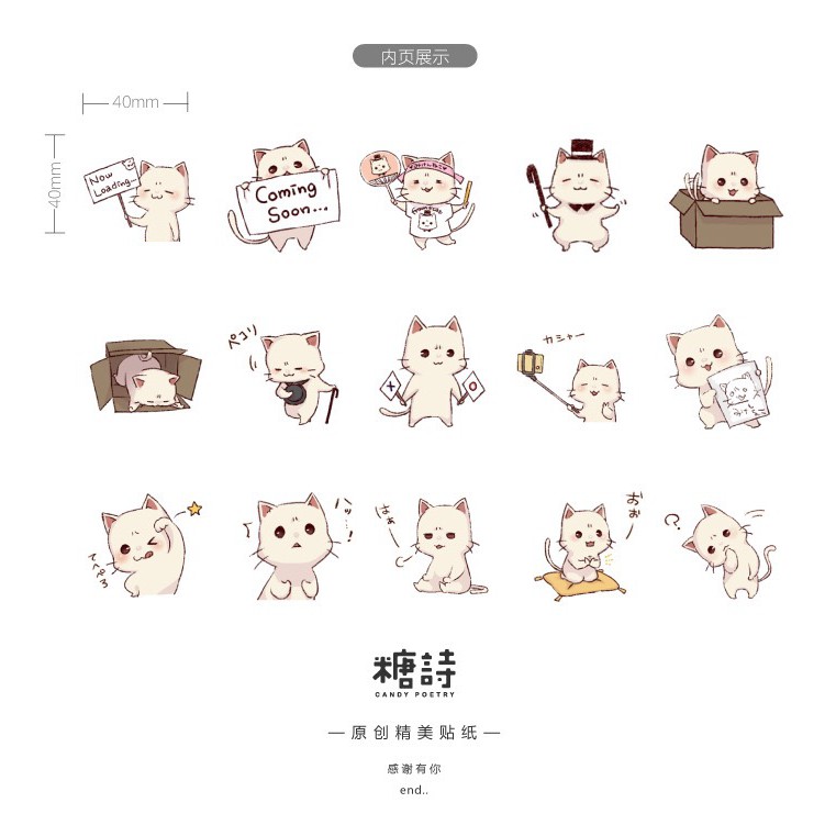 Bộ sticker/ Hình dán Bé Mèo Trắng Dễ Thương (45 Hình)