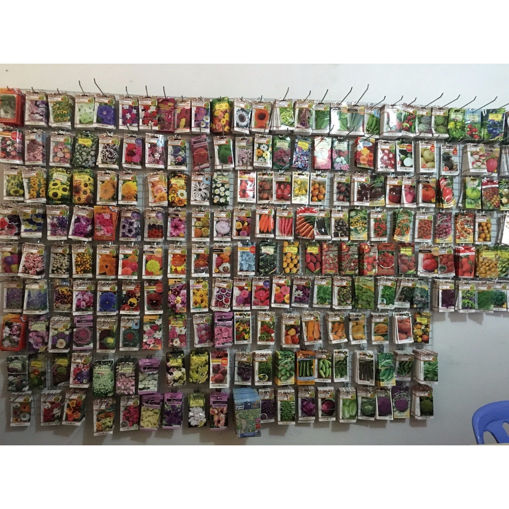 50 Hạt Giống Cà Rốt Đen Tím Black Giàu Anthocyanin