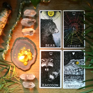 Bài Animal Spirit Deck and Guidebook