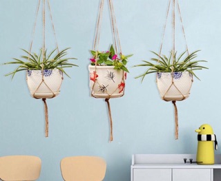 Dây treo chậu hoa 80cm/105cm