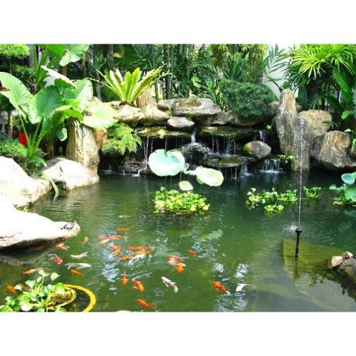 1 Viên vi sinh dạng viên nén - Làm trong nước bể cá