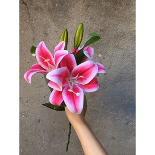 [ HOA VẢI [ HOA LY CAO SU ] [ CÀNH DÀI 30CM ] HOA LY CAO SU 3 BÔNG, 1 NỤ