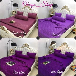 Drap thun❤️FREESHIP❤️bộ ga giường thun lạnh Hàn Quốc 4 món( 1 ga nệm, 3 áo gối)