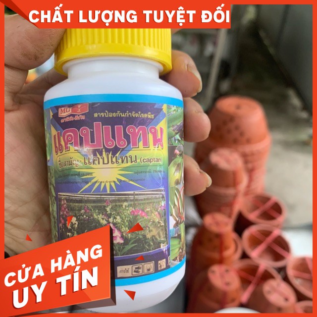 Thuốc chống thối nhũn cho lan