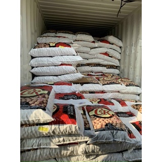 Nhân Óc chó đỏ Mỹ 140k/500gr