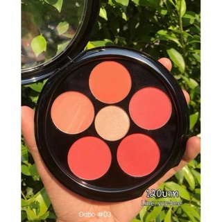Má hồng 6 ô odbo floral beauty blusher & contour