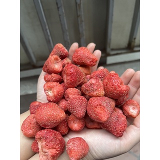 Dâu sấy / sung / sữa chua sấy khô 100gr