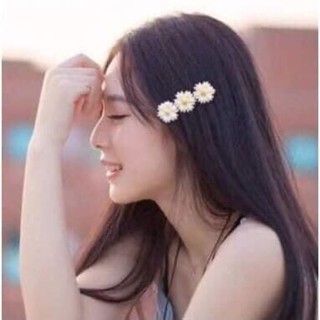 Kẹp tóc hoa cúc(3c)