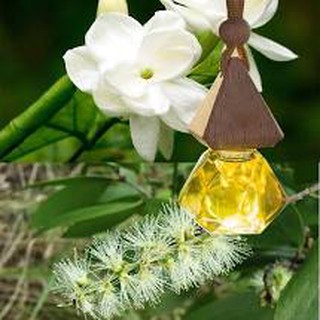 Tinh dầu thơm treo xe hơi hương Hoa Sen Trắng