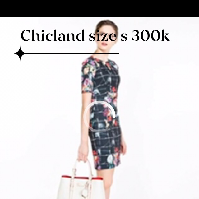 Chicland size s