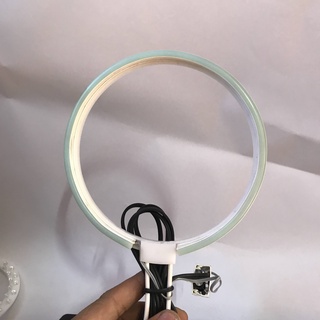 Vòng Hào Quang Led Neon 18Cm (NCDS-0111)