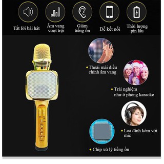 Micro karaoke bluetooth không dây SD-10, Mic kèm loa, bắt âm tốt, hỗ trợ thu âm - BH 6 tháng 🚀GIAO HÀNG HỎA TỐC NOWSHIP
