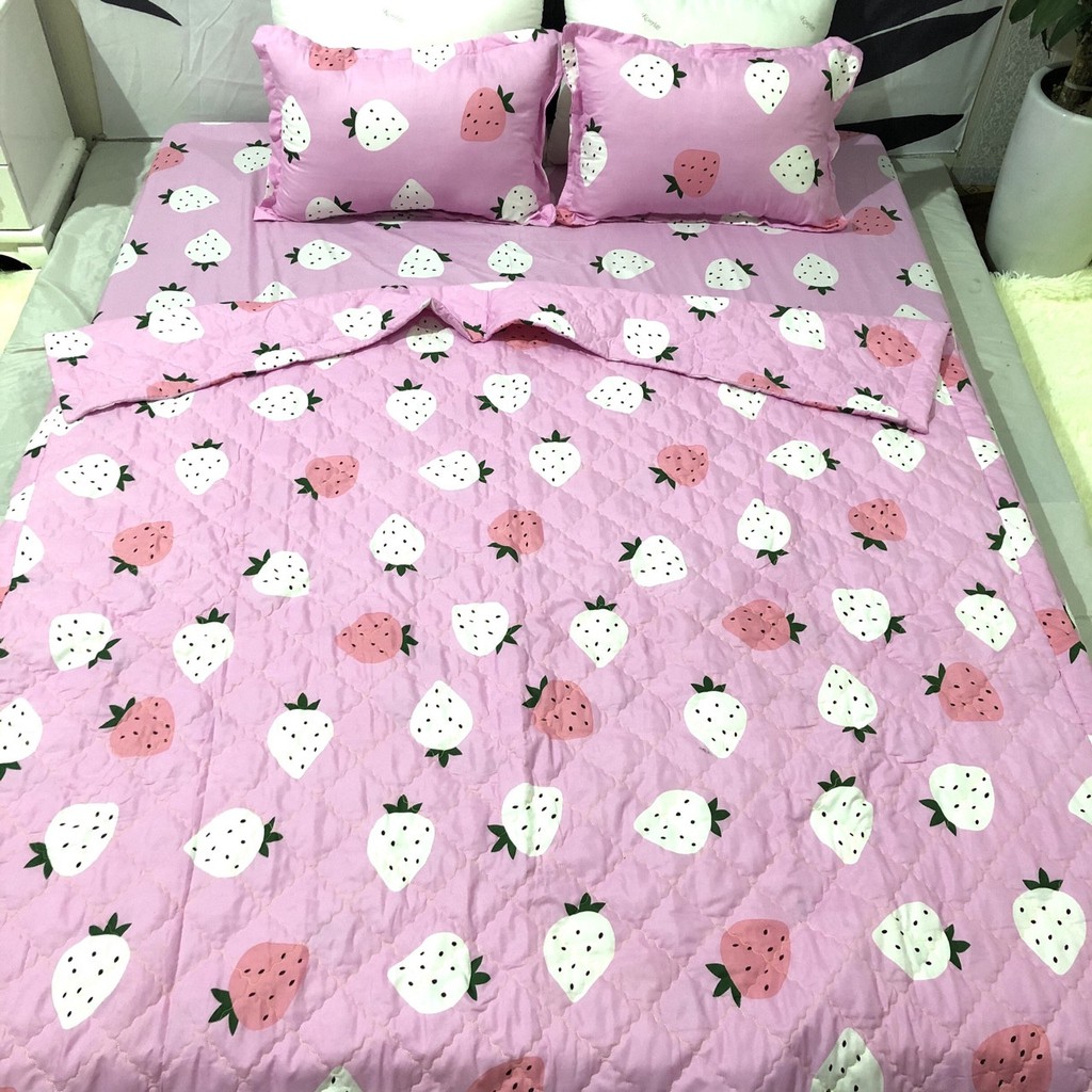 Chăn (mền) poly cotton chần bông 2 mặt Mẫu Mới