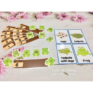Học liệu tập đếm và thẻ vòng đời của ếch
