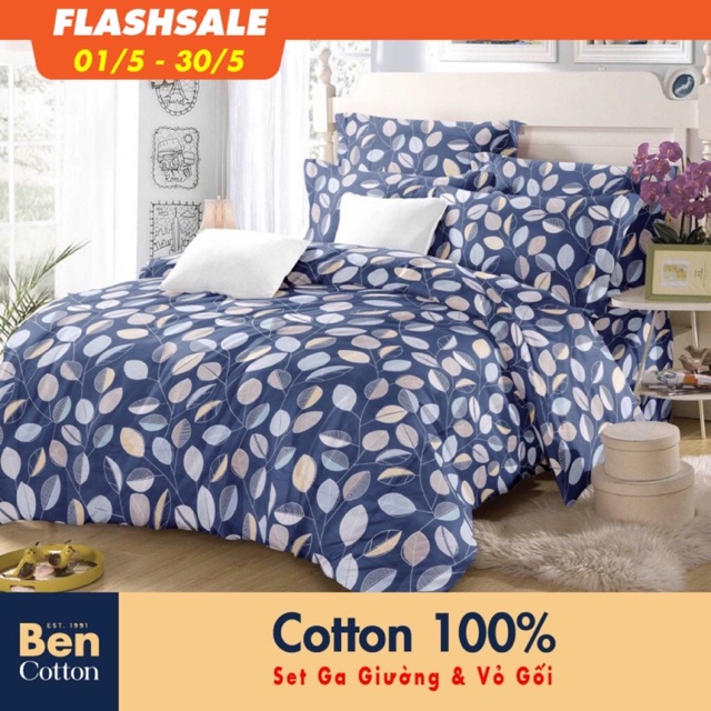 Bộ ga và vỏ gối cotton