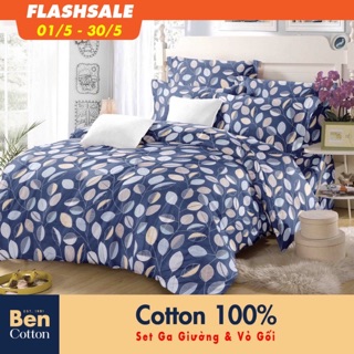 Bộ ga và vỏ gối cotton
