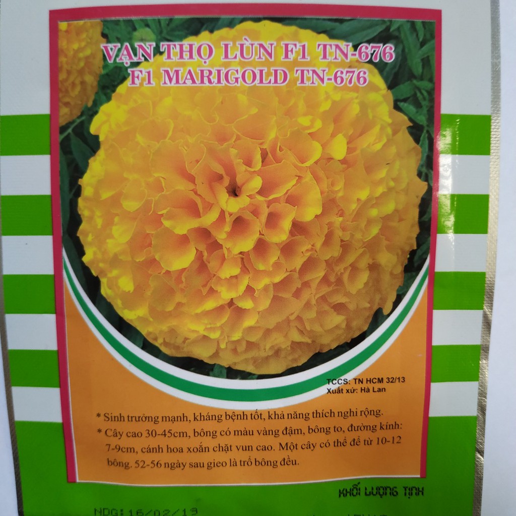 Hạt giống HOA VẠN THỌ