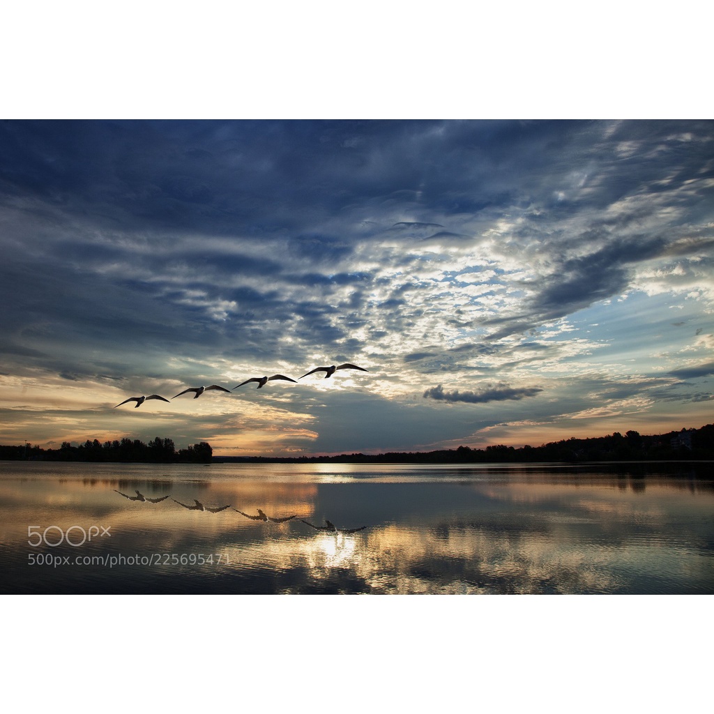 Bộ máy ảnh Canon EOS 5D Mark II kèm ống kính Canon EF 28-105mm USM, máy ảnh chuyên nghiệp Fullframe, chất lượng ảnh cao