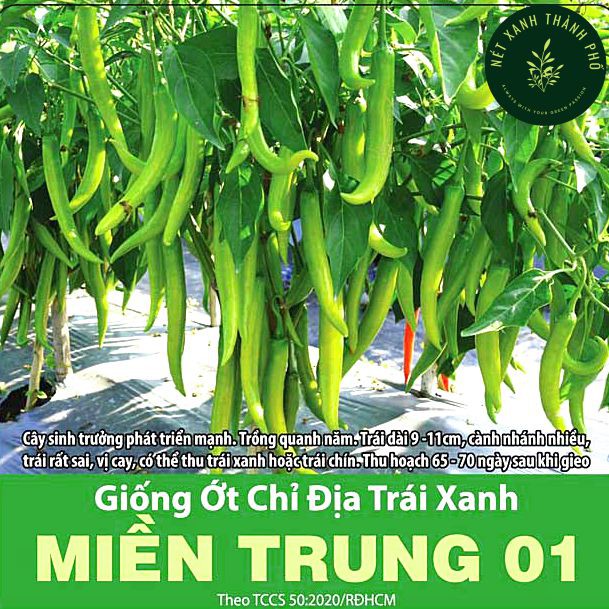 Hạt giống Ớt Chỉ Địa Xanh 0.1gr, ớt chỉ địa miền Trung