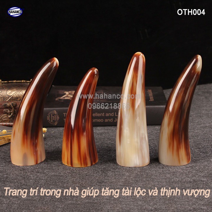 Chóp sừng bò Châu Phi - vật phẩm phong thủy- HOT nhất của năm trâu vàng 2021 - giàu sang/phú quý - OTH004 - HAHANCO