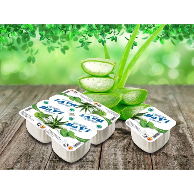 Thùng 48 hộp sc nha đam ba vì