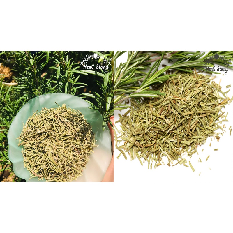 Lá hương thảo rosemary- gia vị thảo dược của cuộc sống hiện đại 500gr