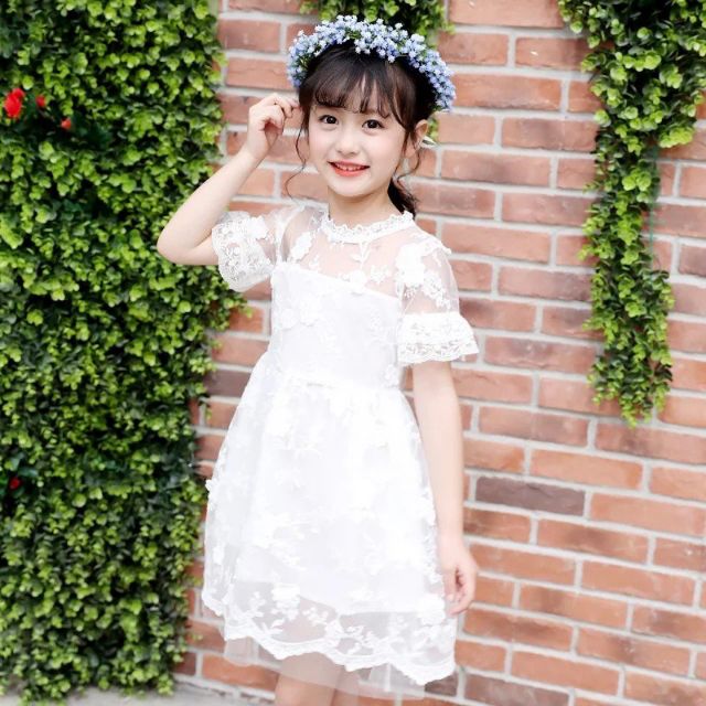 Đầm 12-25kg
