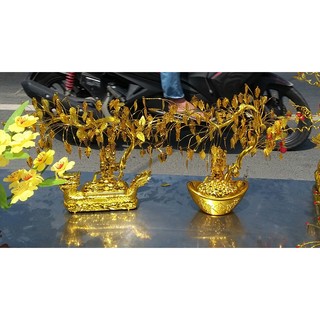 Cây thần tài