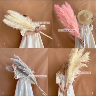 Cỏ lau khô đủ màu- ẢNH CHỤP THẬT - bán theo set/4hoa