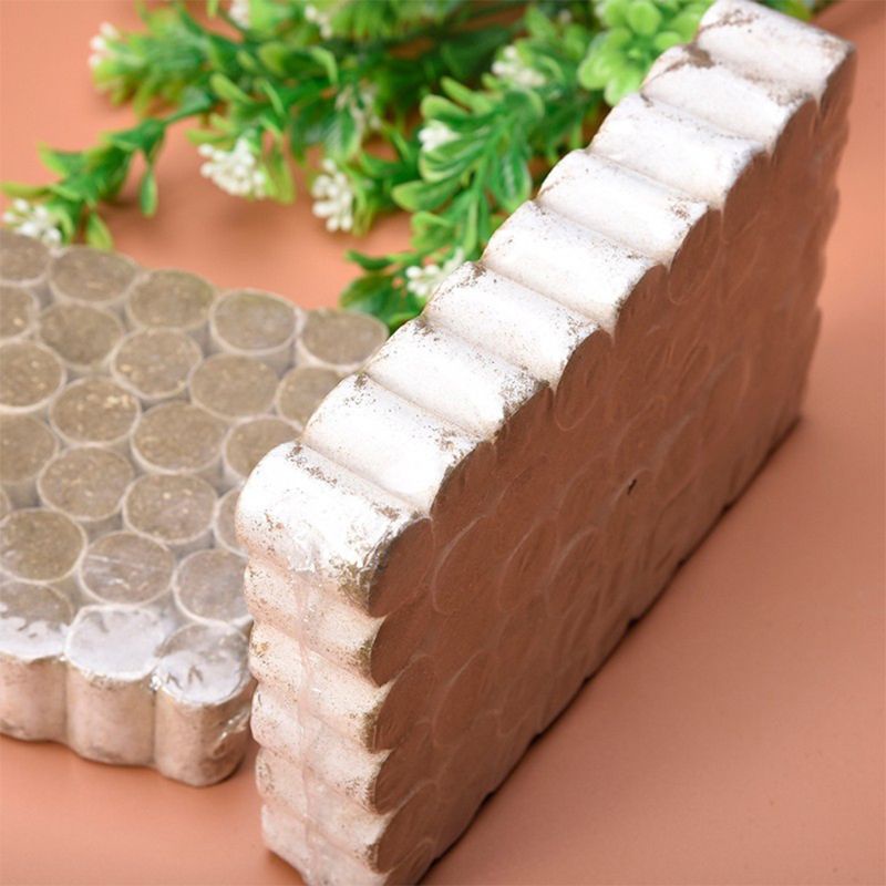 Thiết Bị Truyền Khói Bằng Thép Không Gỉ
