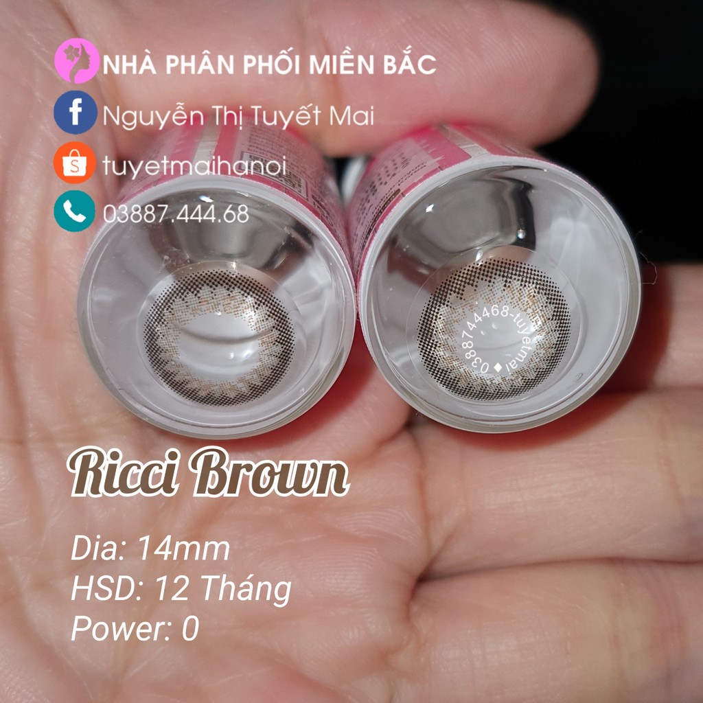 Kính Áp Tròng Màu Nâu Tự Nhiên Ricci Brown 14mm 0 Độ - Lens Hàn Quốc Vassen Sexy Me