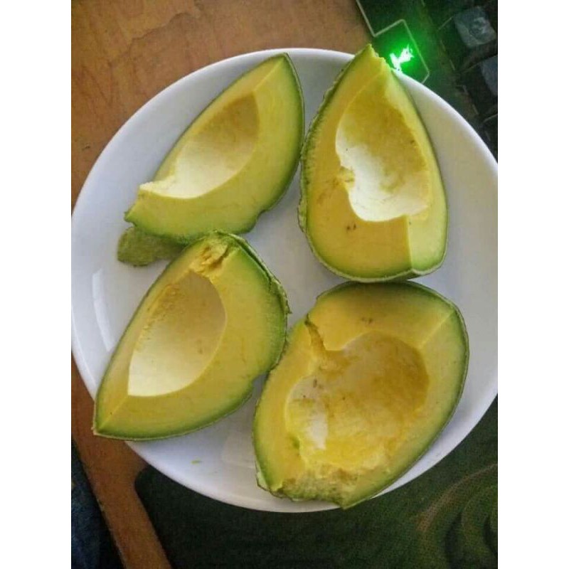 Bơ booth Di Linh Lâm Đồng