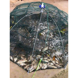 Si 5  Lưới bắt cá