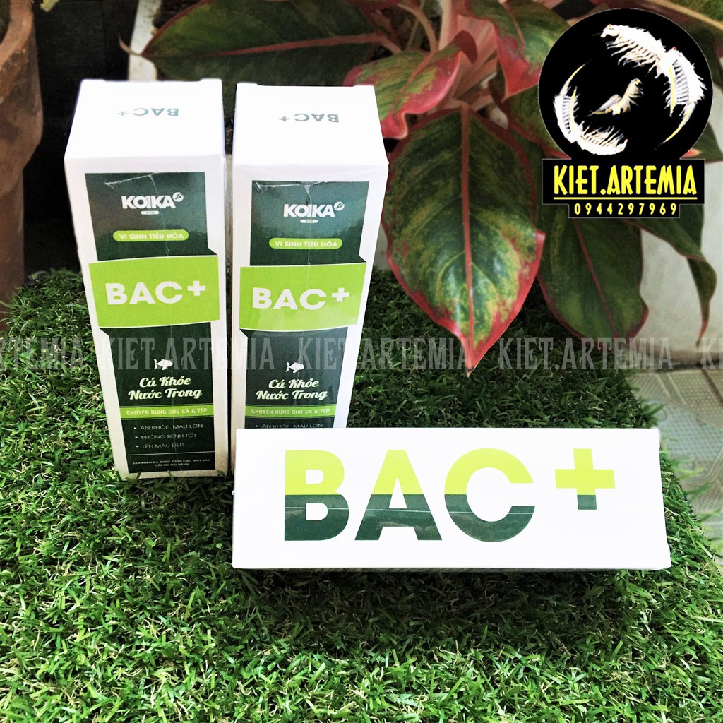 Vi sinh tiêu hóa BAC+♥️FREE SHIP♥️Vi Sinh BAC+