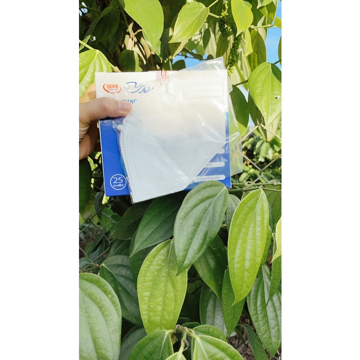 Khẩu trang y tế HM95 chính hãng (Hộp 25 cái)