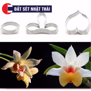 KHUÔN CẮT HOA LAN DENDROBIUM HỌC LÀM HOA ĐẤT SÉT, HOA ĐƯỜNG, XÔI HOA ĐẬU, HOA BÁNH KEM, RAU CÂU
