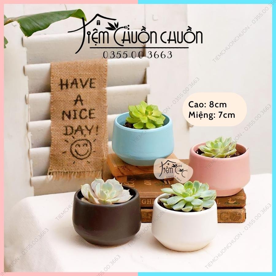 Chậu Hoa Sen Đá - Dáng Kim Cương - Chậu Hoa Đẹp - Tiệm Chuồn Chuồn - tiemchuonchuon - Gốm Sứ Bát Tràng