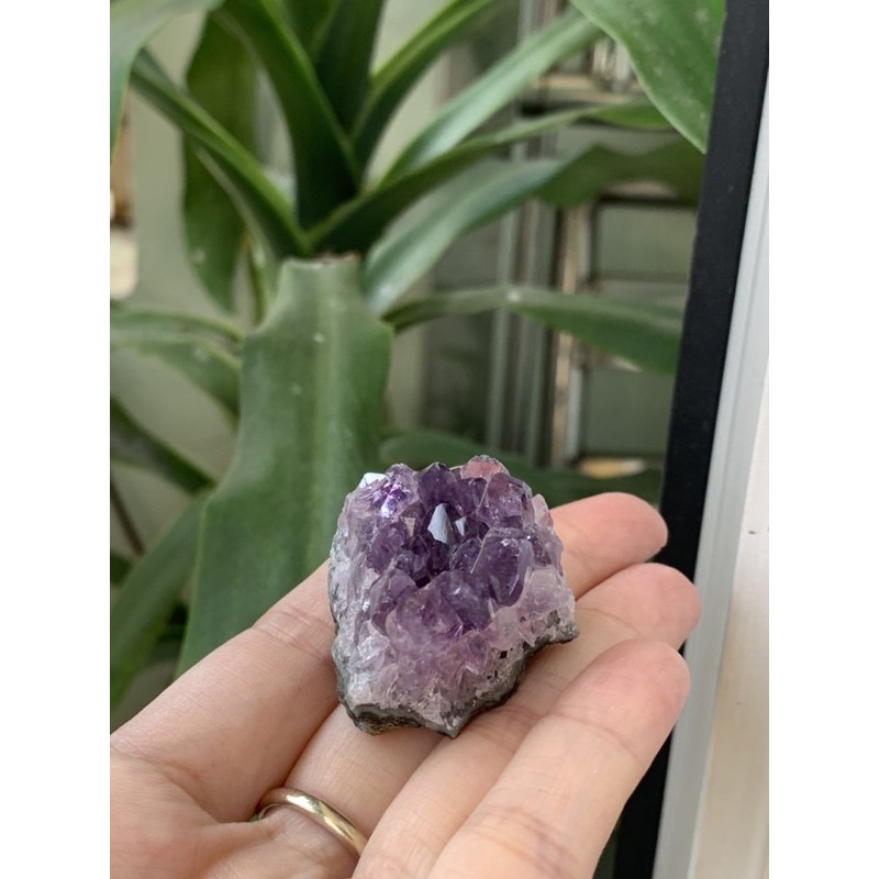 Vỉ đá tím mini thiên nhiên - Natural Amethyst Cluster - Đá th anh thanh tẩy