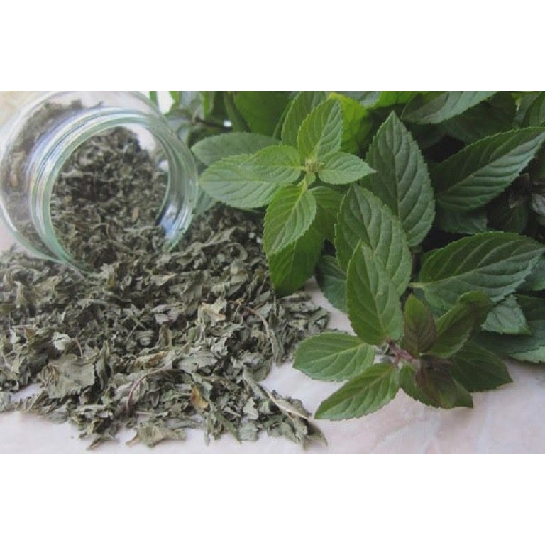 Lá Bạc Hà Á - (Spearmint) AB - lá thơm gia vị -dùng để pha trà,  hoặc trang trí một số món ăn. - Foodland