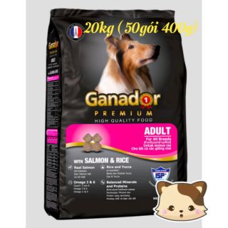 20kg (50 gói 400g ) Ganador Adult Salmon vị cá hồi