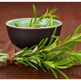 Hạt giống hoa Cây hương thảo