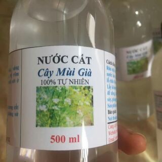 Nước cất cây mùi già, tự nhiên, tinh khiết 500ml