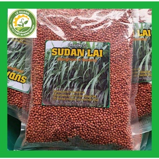 Cỏ Sundan lai - Cỏ cao lương Cỏ Ngô (gói 1kg)