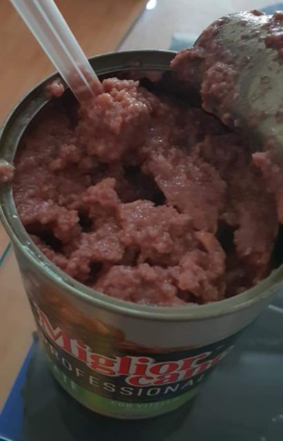 Pate cho chó morado